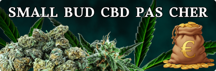 Small bud cbd pas cher
